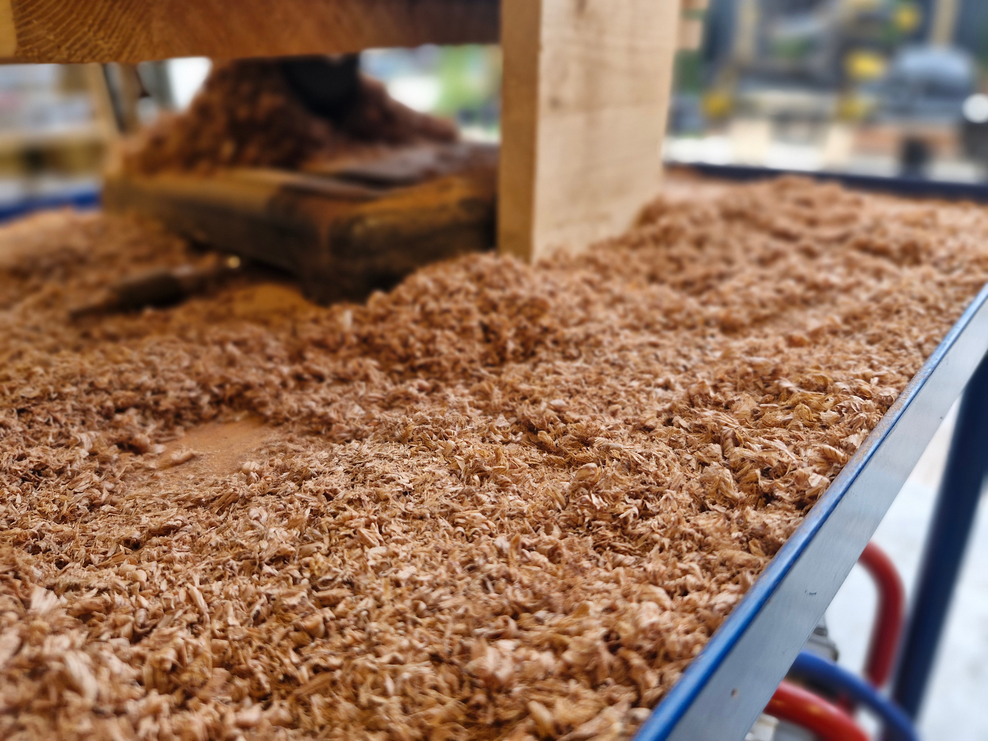 Vers gezaagd tropisch hardhout in het atelier