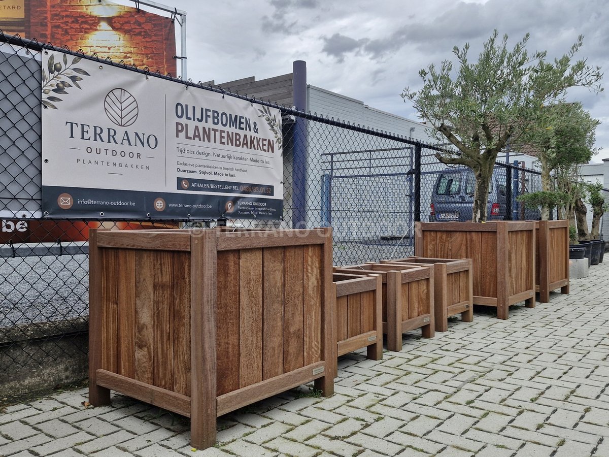 Plantenbakken en olijfbomen bij Terrano Outdoor in Berlare