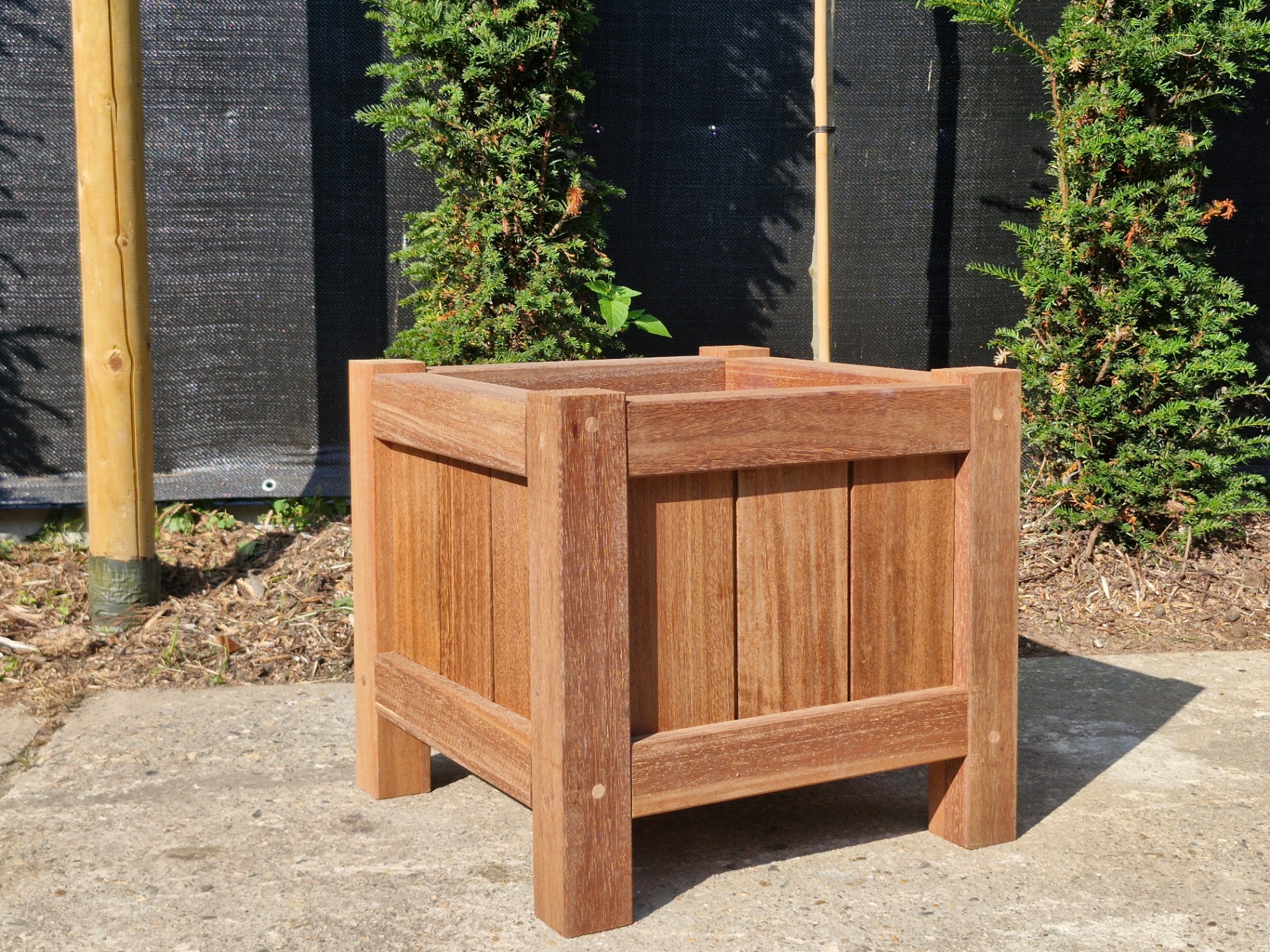 Terrano plantenbak 50 × 50 × 50 cm in tropisch hardhout met beplanting