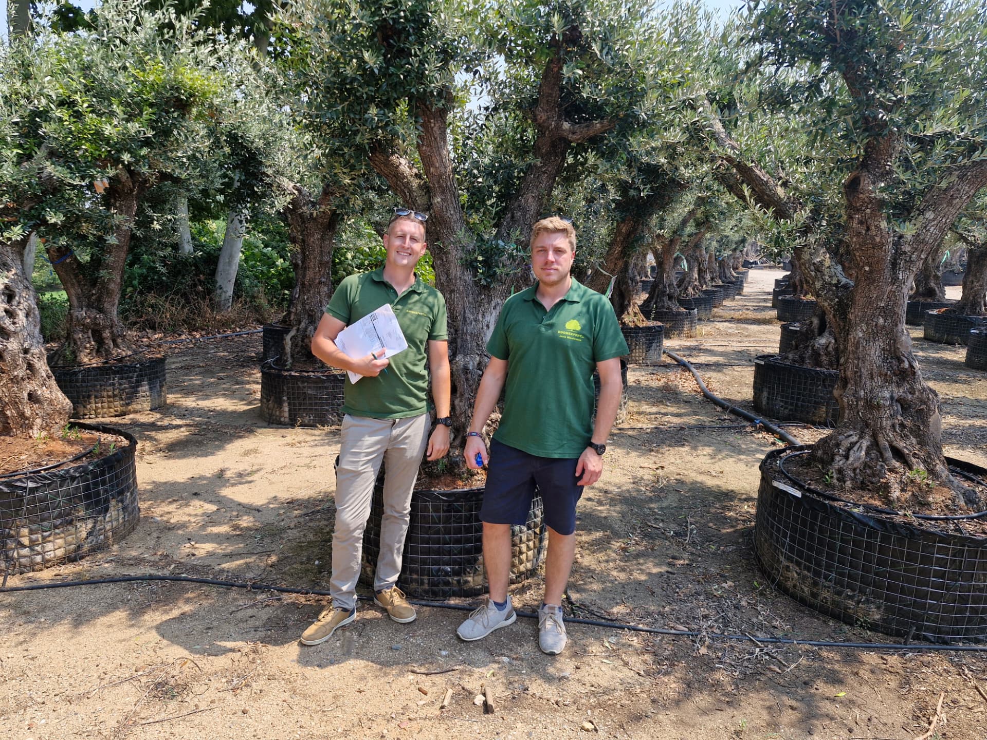 Christophe en Jens selecteren olijfbomen bij een Spaanse kwekerij