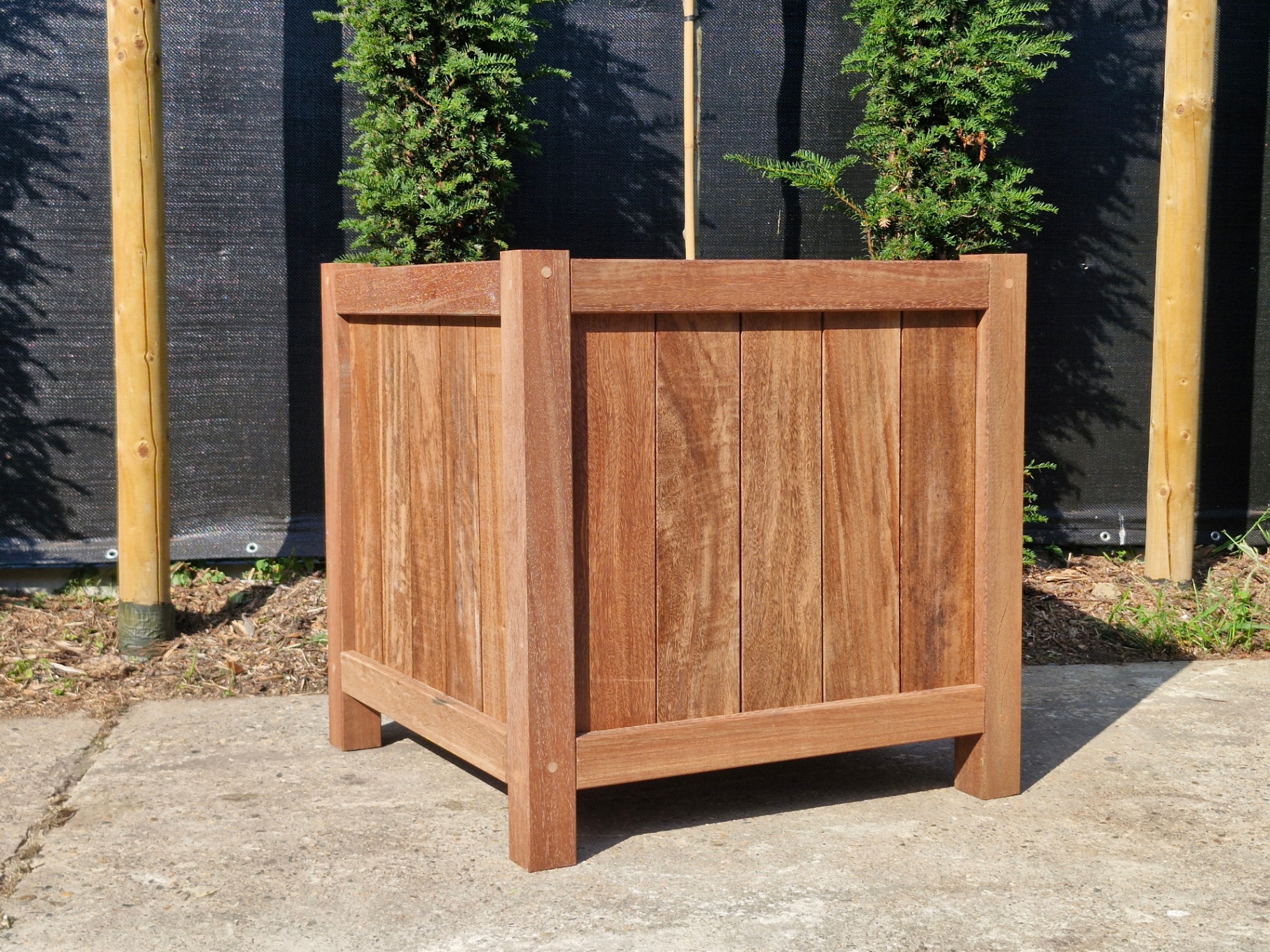 Terrano plantenbak 80 × 80 × 80 cm in tropisch hardhout met beplanting