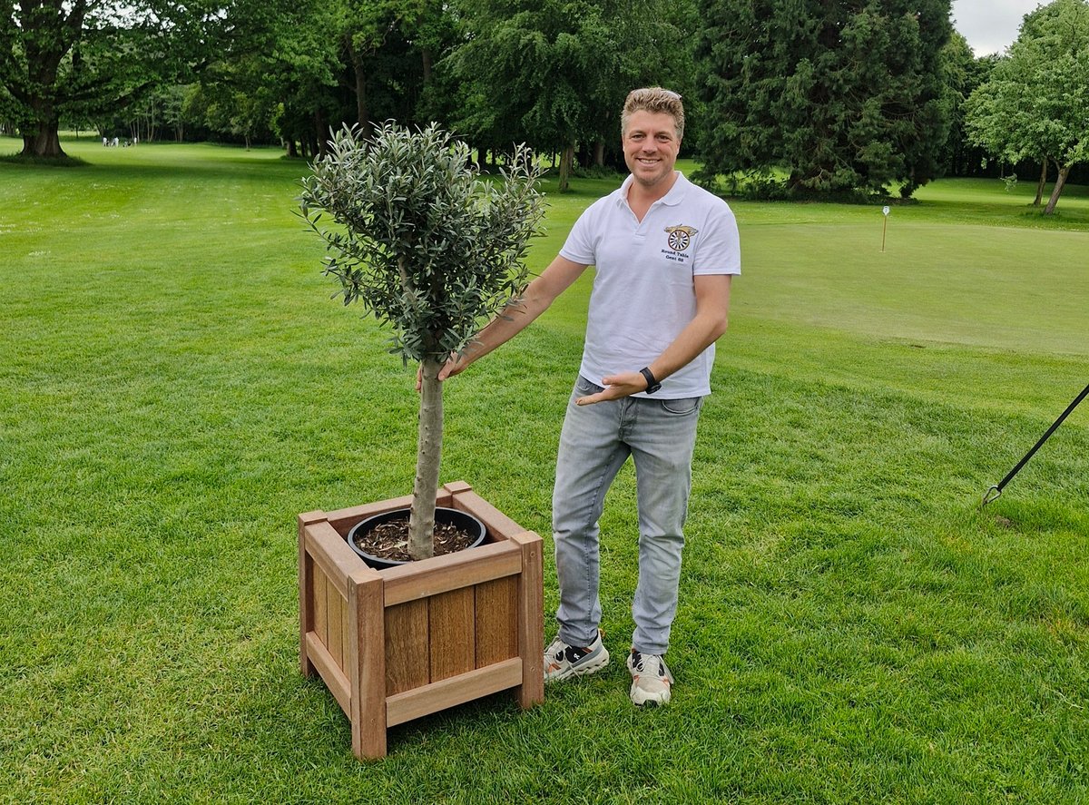 Olijfboom in een Azobé plantenbak – Terrano Outdoor Berlare