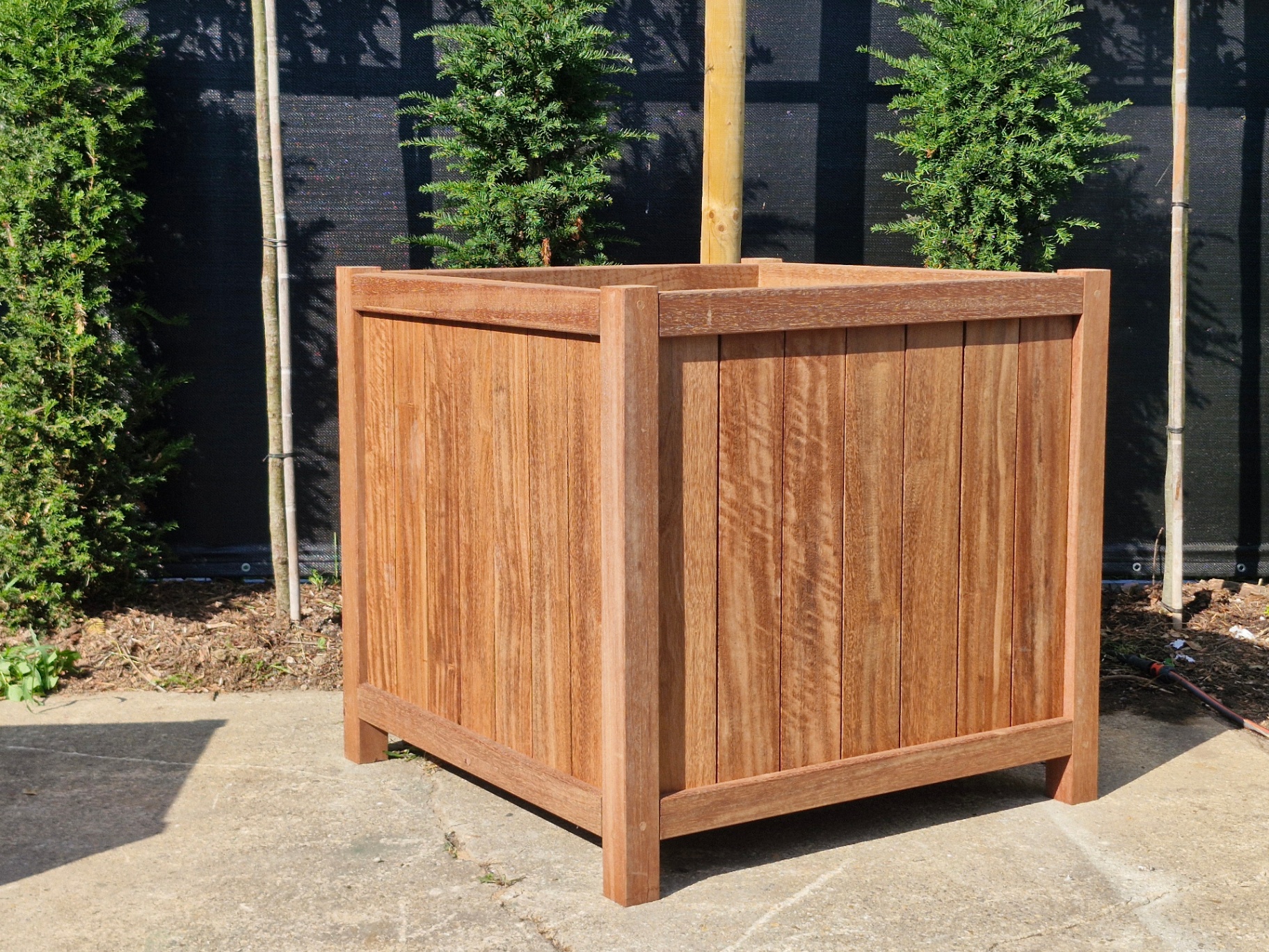 Terrano plantenbak 100 × 100 × 100 cm in tropisch hardhout met beplanting